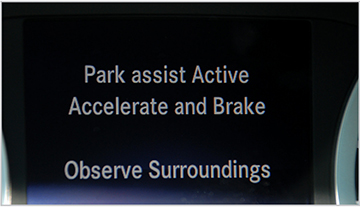 ParkAssist_P3_Right_Bottom.jpg